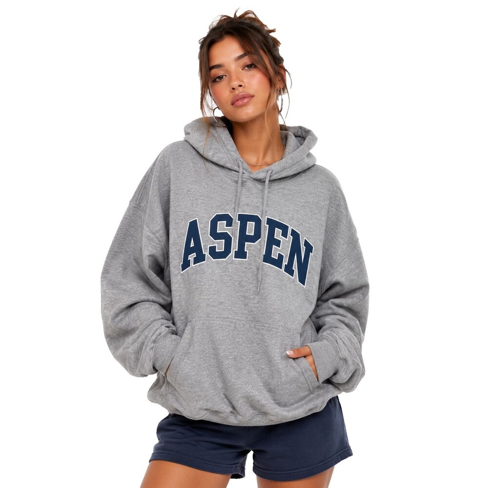 Brandy Melville John Galt Aspen Oversized Hoodie Sweatshirt Y2K One Size Gray LS